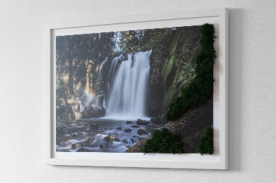 Moss framed wall art Waterfall surrounded by trees