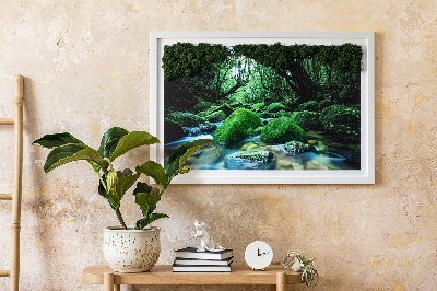 Green moss wall art River in the middle of a forest