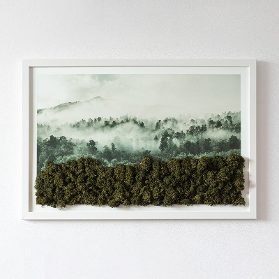 Green moss wall art Forest in the mist