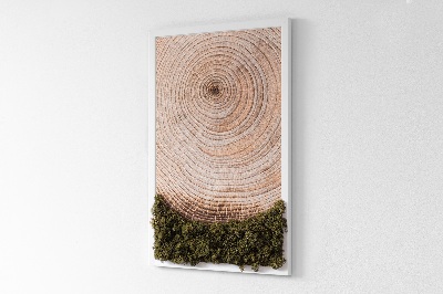 Moss wall art Wood grain