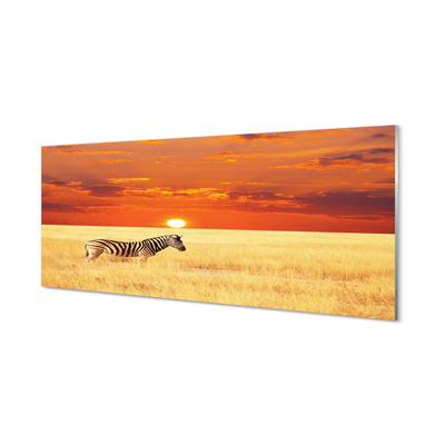 Glass print Zebra sunset field