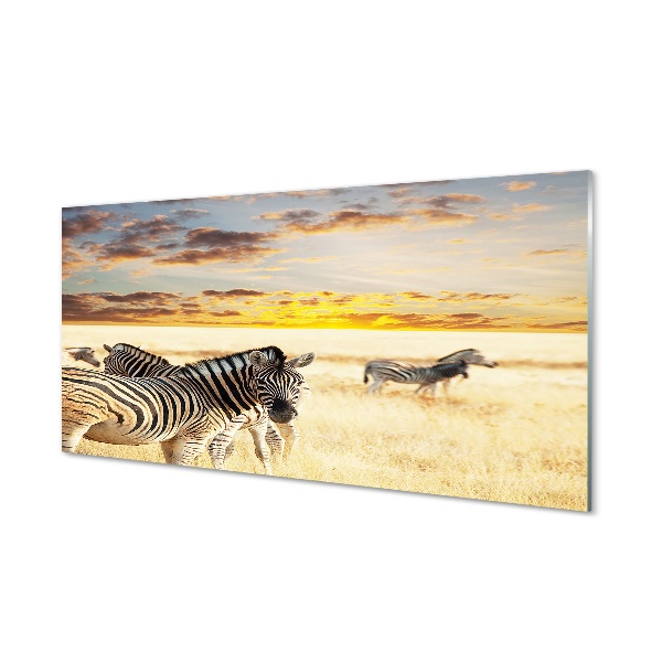 Glass print Sunset on the field zebra
