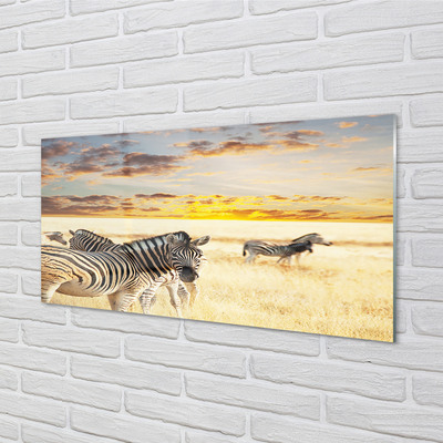 Glass print Sunset on the field zebra