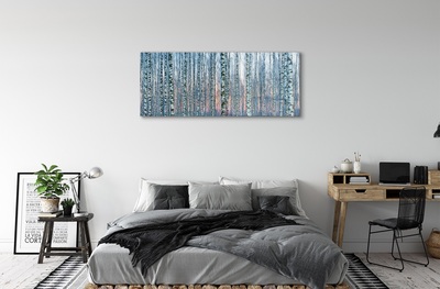 Glass print Sunset the birch forest