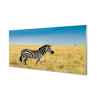 Glass print Zebra box