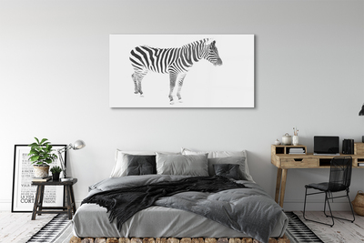 Glass print Painted zebra