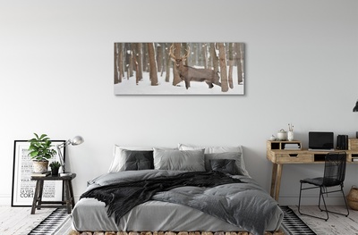 Glass print Deer winter forest