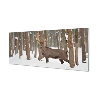 Glass print Deer winter forest