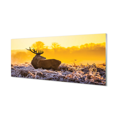 Glass print Deer sunrise winter sun
