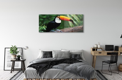 Glass print Toucan on a branch