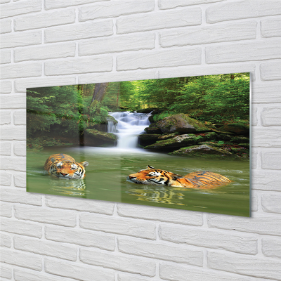 Glass print Waterfall tiger