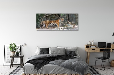 Glass print Tiger jungle