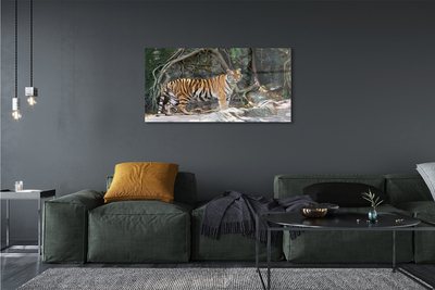Glass print Tiger jungle