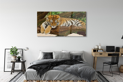 Glass print Tiger tree