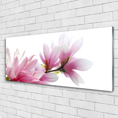 Glass Print Magnolia blossoms floral pink