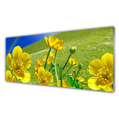 Glass Print Meadow flowers rainbow nature yellow blue green
