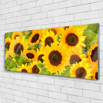 Glass Print Sunflowers floral yellow brown green