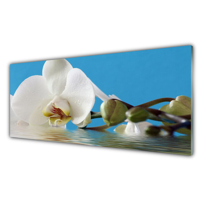 Glass Print Flower floral white green blue