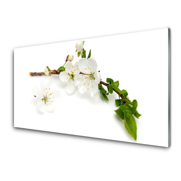 Glass Print Flower branch nature white brown green