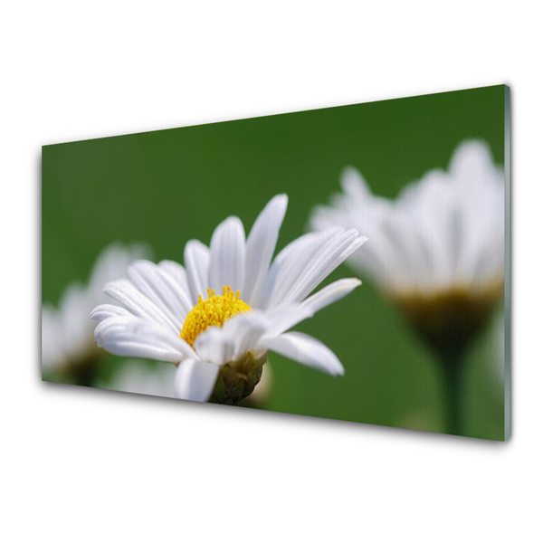 Glass Print Daisy floral white yellow green