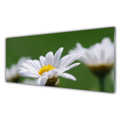 Glass Print Daisy floral white yellow green