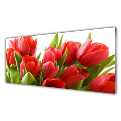 Glass Print Tulips floral red green