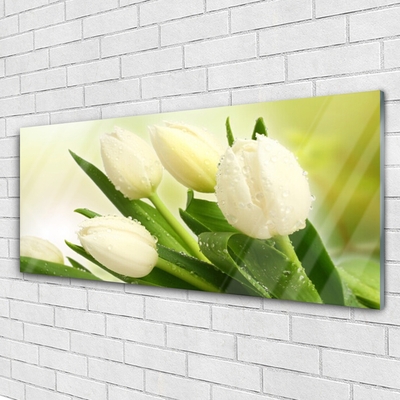 Glass Print Tulips floral white green