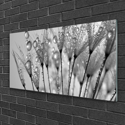 Glass Print Dandelion floral grey