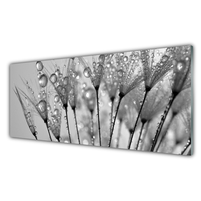 Glass Print Dandelion floral grey