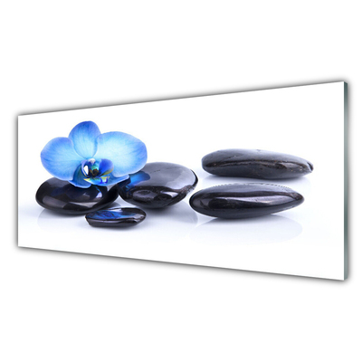 Glass Print Flower stones art blue black
