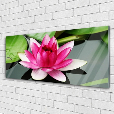 Glass Wall Art Flower floral red white