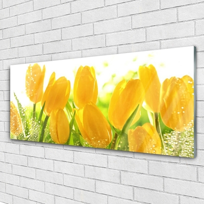 Glass Wall Art Tulips floral yellow green