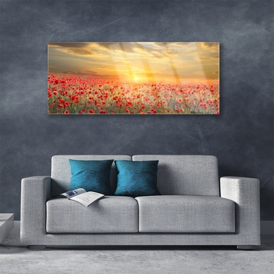 Glass Wall Art Sun meadow poppy flowers nature yellow red green