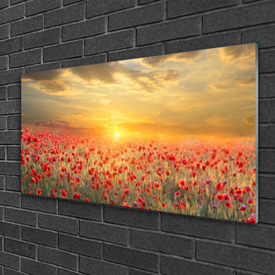Glass Wall Art Sun meadow poppy flowers nature yellow red green