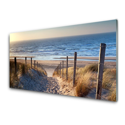 Glass Wall Art Beach footpath landscape brown