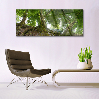 Glass Wall Art Trees nature brown green