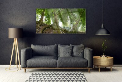 Glass Wall Art Trees nature brown green