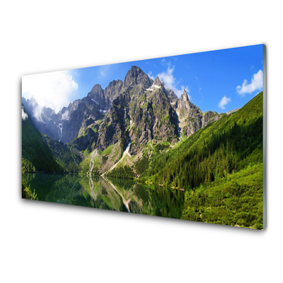 Glass Wall Art Mountain lake nature grey green