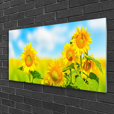Glass Wall Art Sunflowers floral yellow