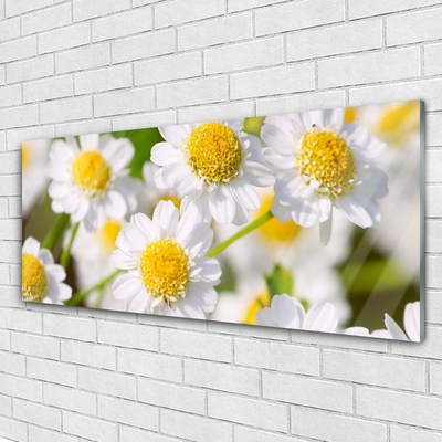 Glass Wall Art Daisy floral yellow white