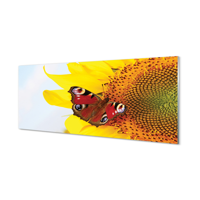Kitchen Splashback Sunflower moth