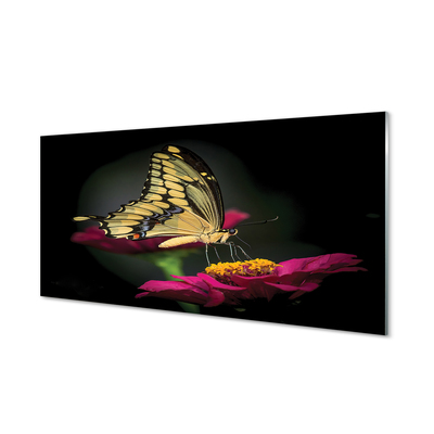 Kitchen Splashback Butterfly on flower