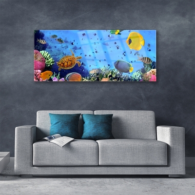 Acrylic Print Coral reef underwater fish nature blue yellow multi