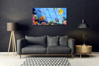 Acrylic Print Coral reef underwater fish nature blue yellow multi