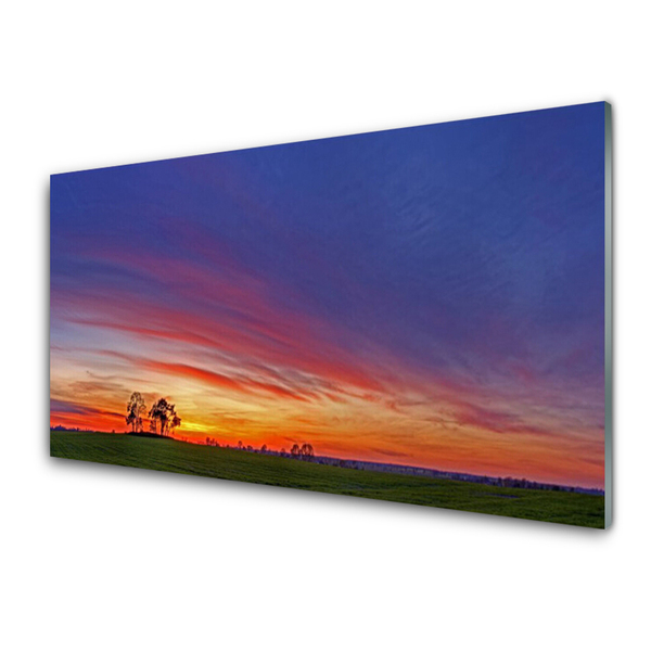 Acrylic Print Landscape field trees nature blue purple red yellow