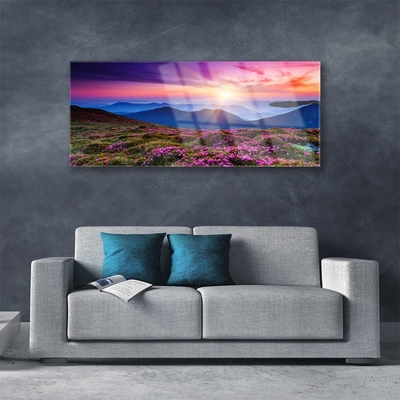Acrylic Print Mountains meadow flowers landscape purple pink blue green