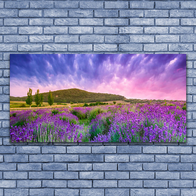 Acrylic Print Meadow flowers mountains nature green purple blue pink
