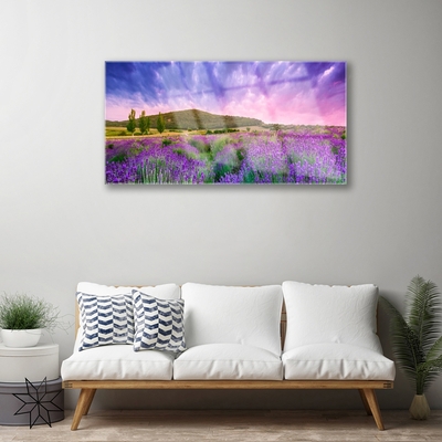 Acrylic Print Meadow flowers mountains nature green purple blue pink