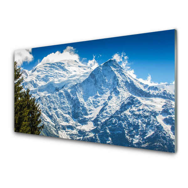 Acrylic Print Mountain tree landscape blue white green