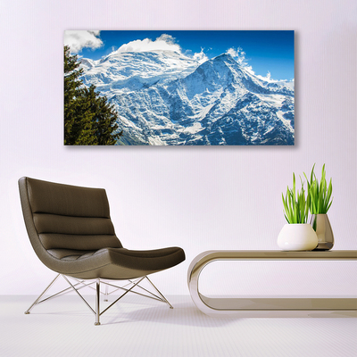 Acrylic Print Mountain tree landscape blue white green